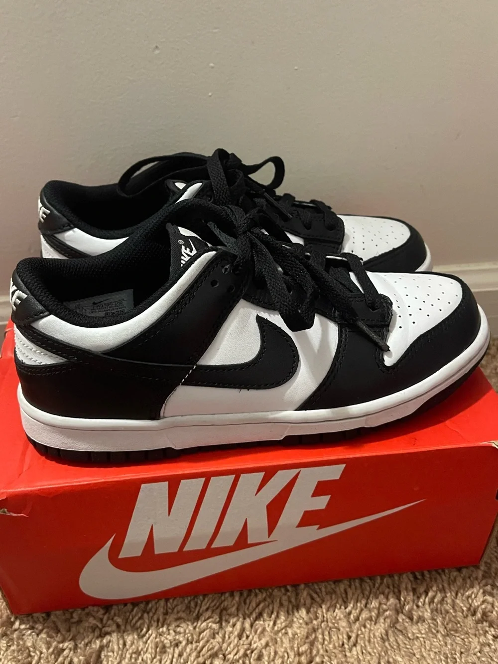 Nike Dunk
